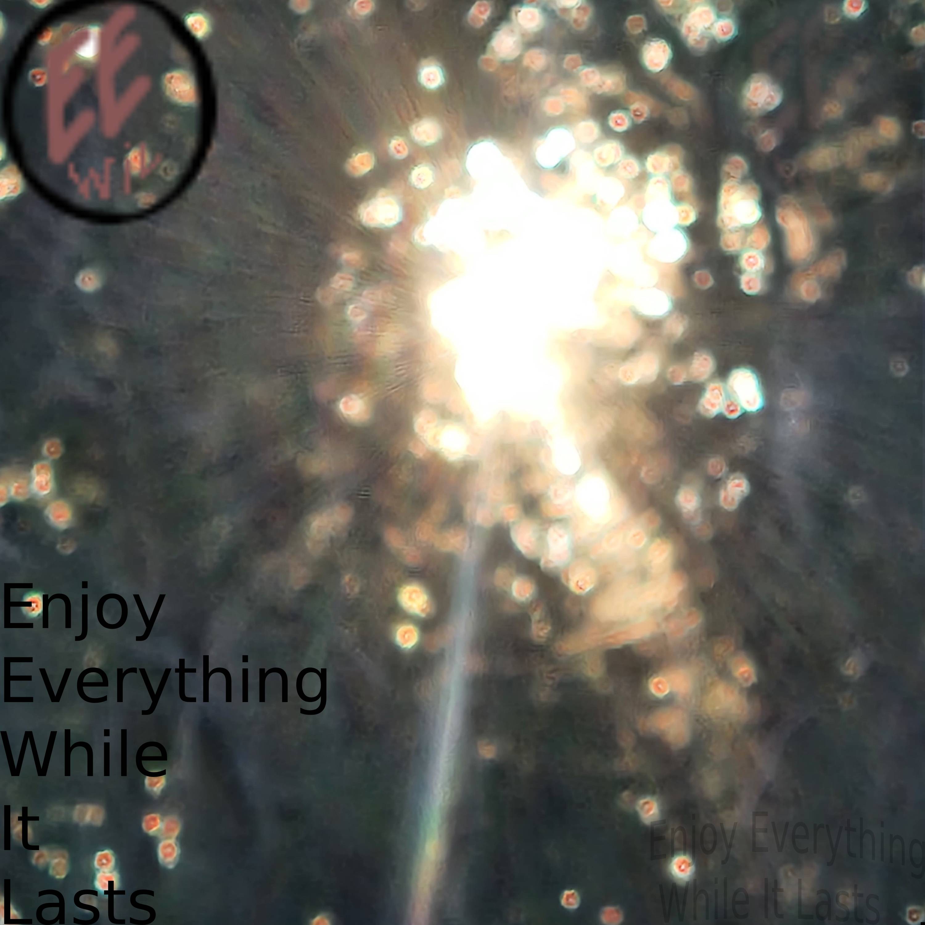 Enjot Everything While It Lasts self titled album cover