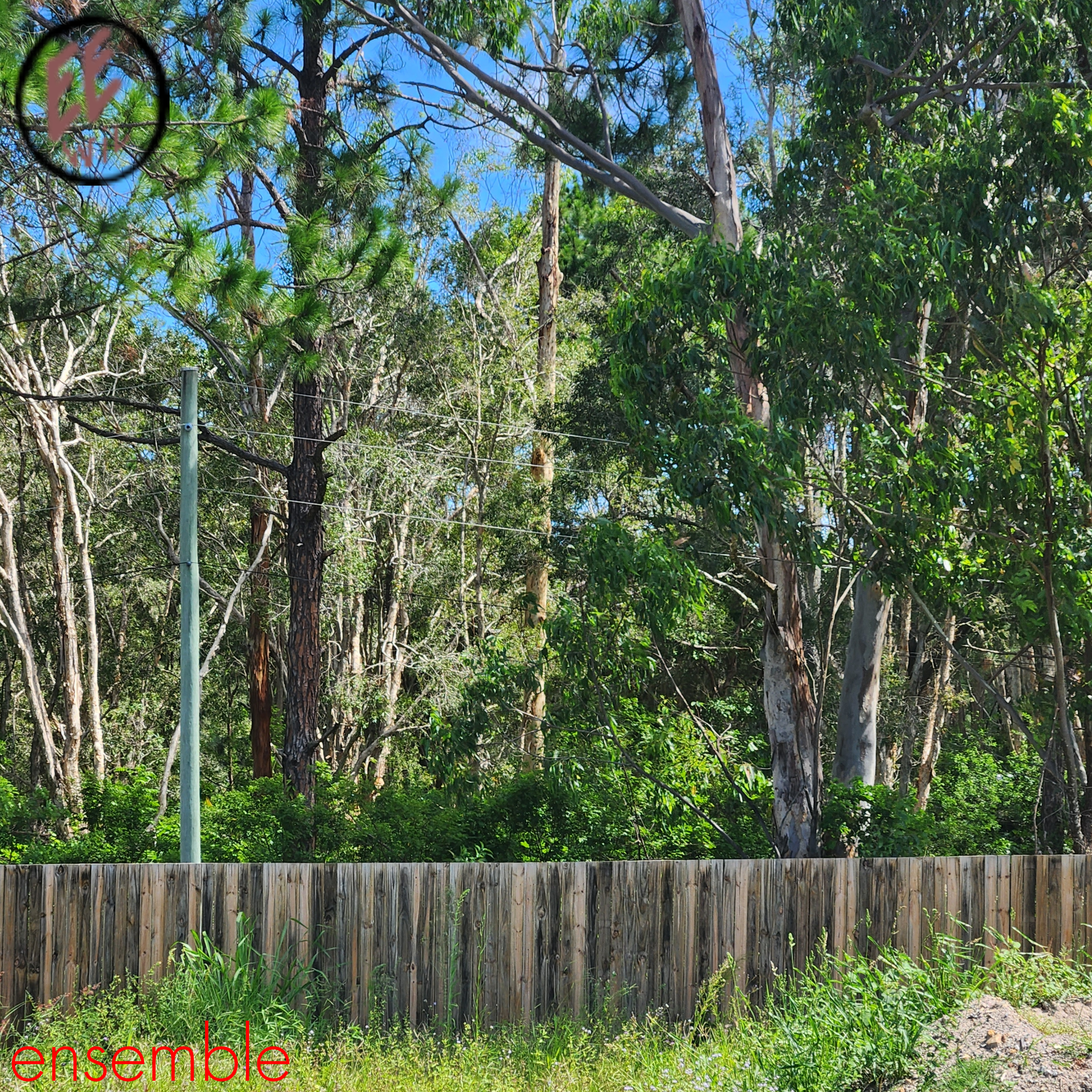 ensemble album cover