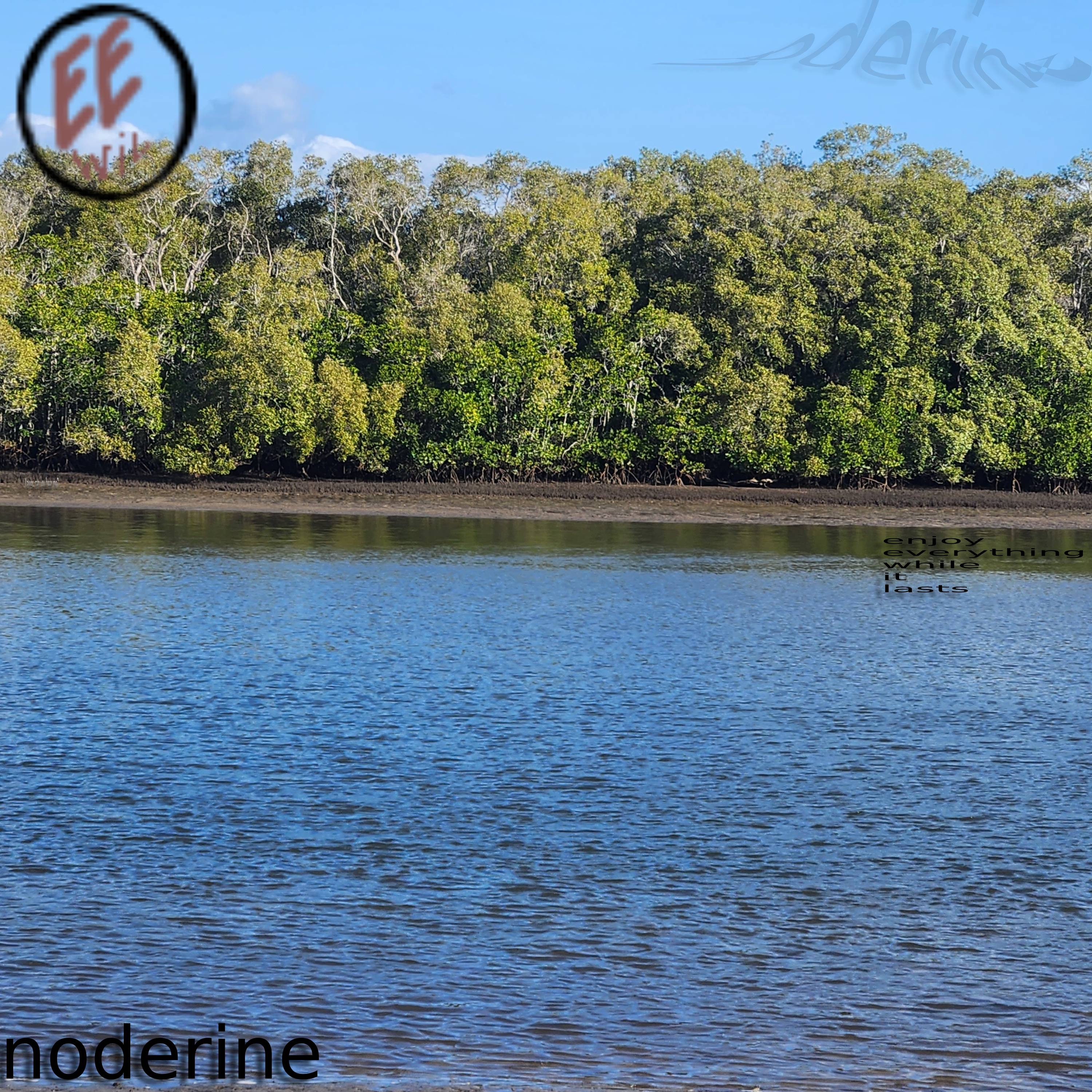 noderine album cover