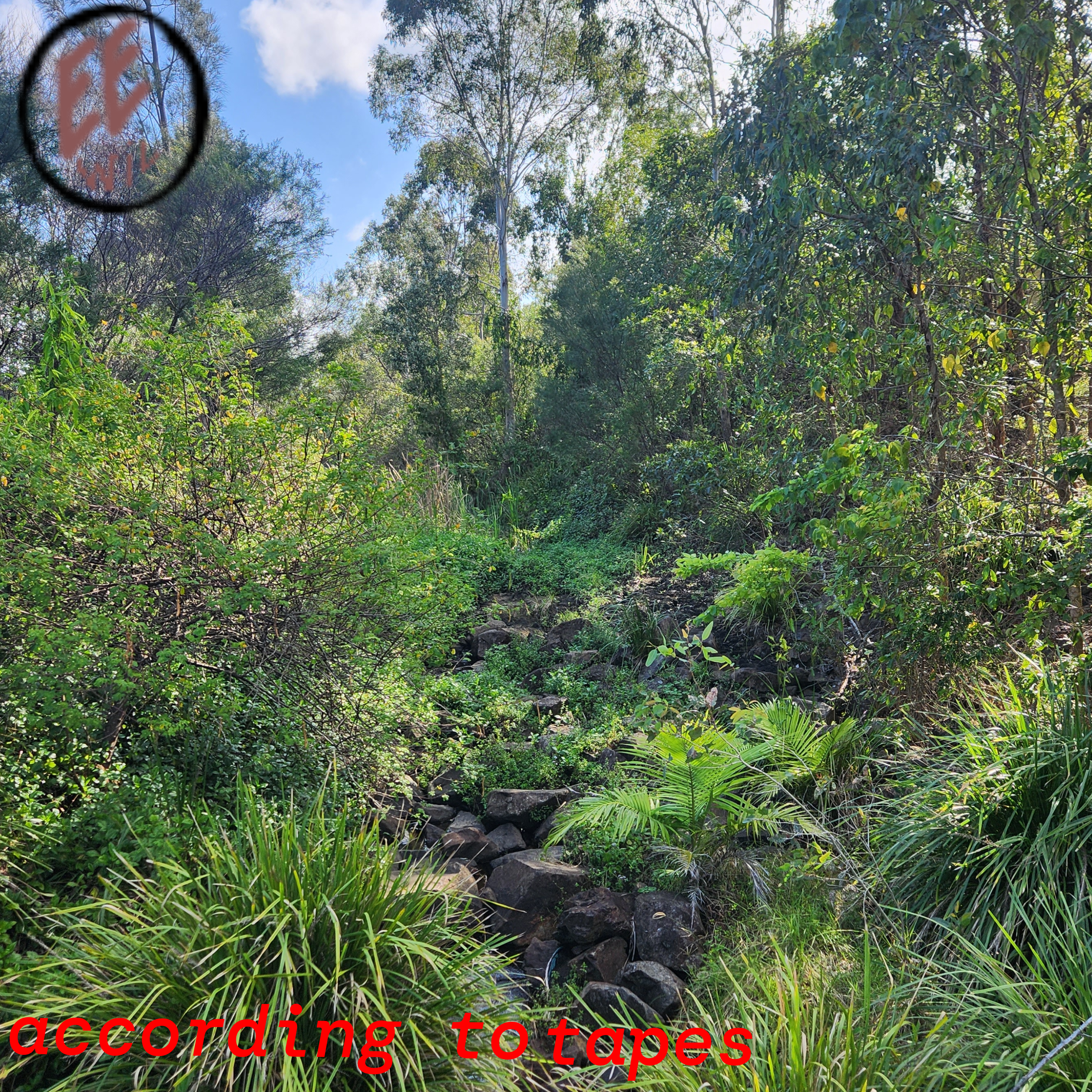 according to tapes album cover